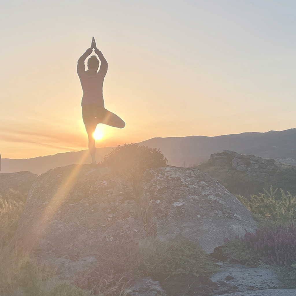 Eine Yogini steht auf einem großen Stein im Licht der aufgehenden Sonne und praktiziert den Baum.